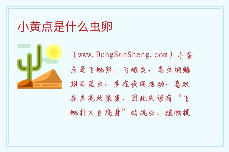 小黄点是什么虫卵 