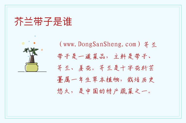 芥兰带子是谁 