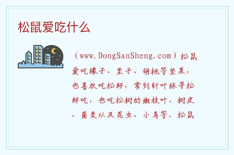 松鼠爱吃什么 