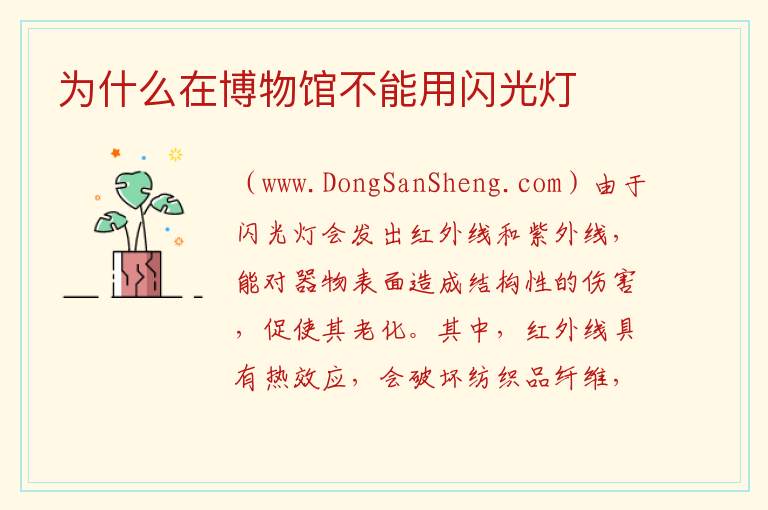 为什么在博物馆不能用闪光灯 