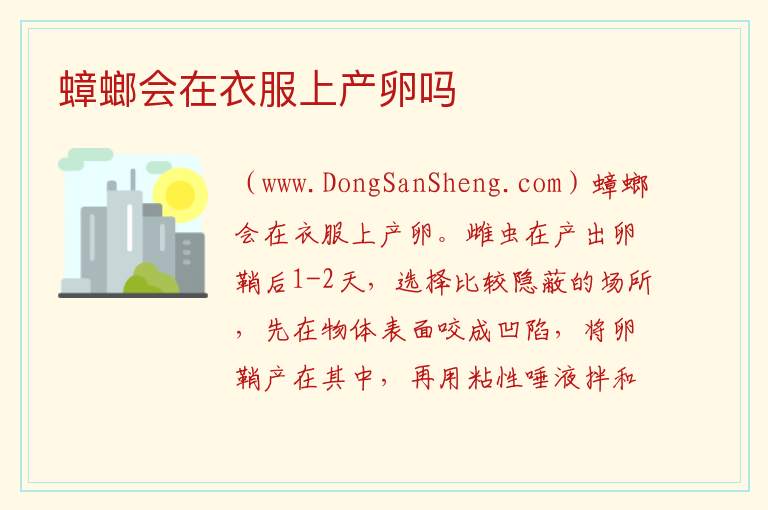 蟑螂会在衣服上产卵吗 