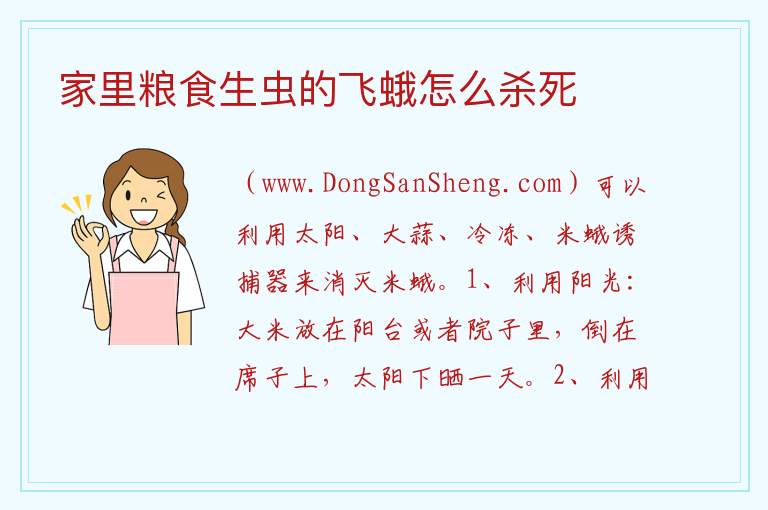 家里粮食生虫的飞蛾怎么杀死 