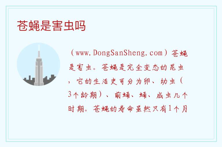 苍蝇是害虫吗 
