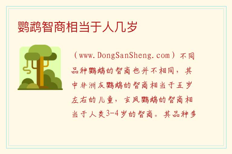 鹦鹉智商相当于人几岁 