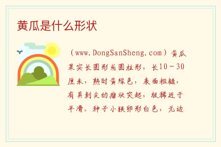 黄瓜是什么形状 