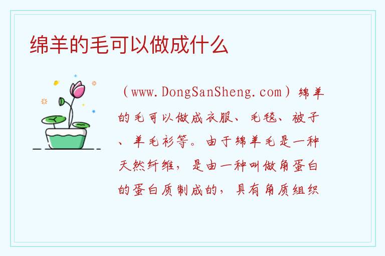 绵羊的毛可以做成什么 