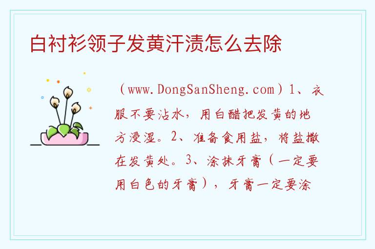 白衬衫领子发黄汗渍怎么去除 
