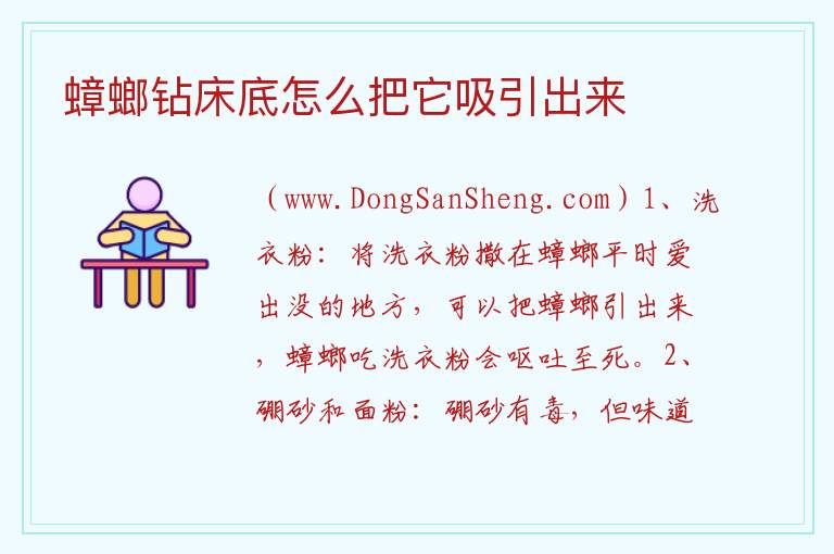 蟑螂钻床底怎么把它吸引出来 