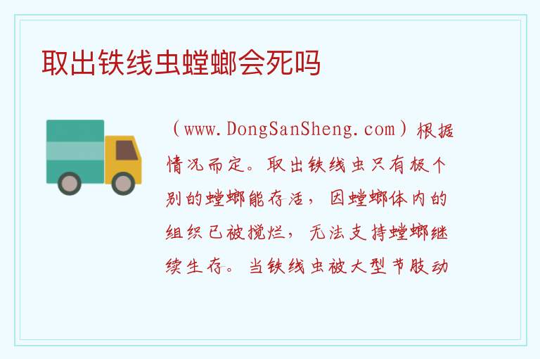 取出铁线虫螳螂会死吗 