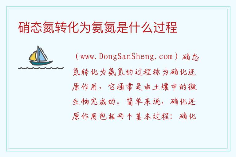 硝态氮转化为氨氮是什么过程 