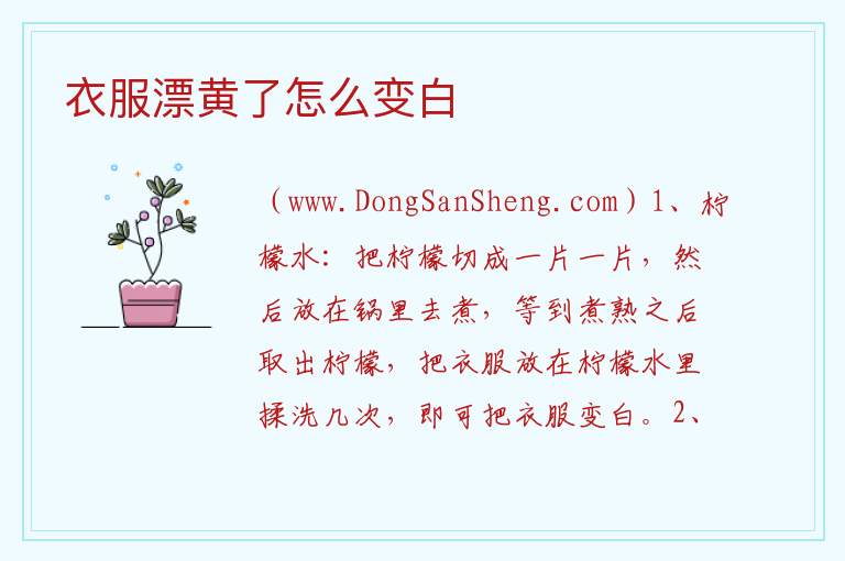 衣服漂黄了怎么变白 