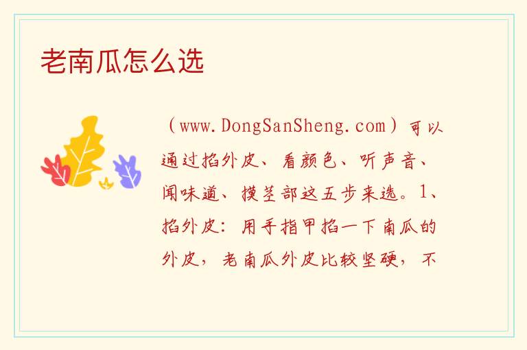 老南瓜怎么选 