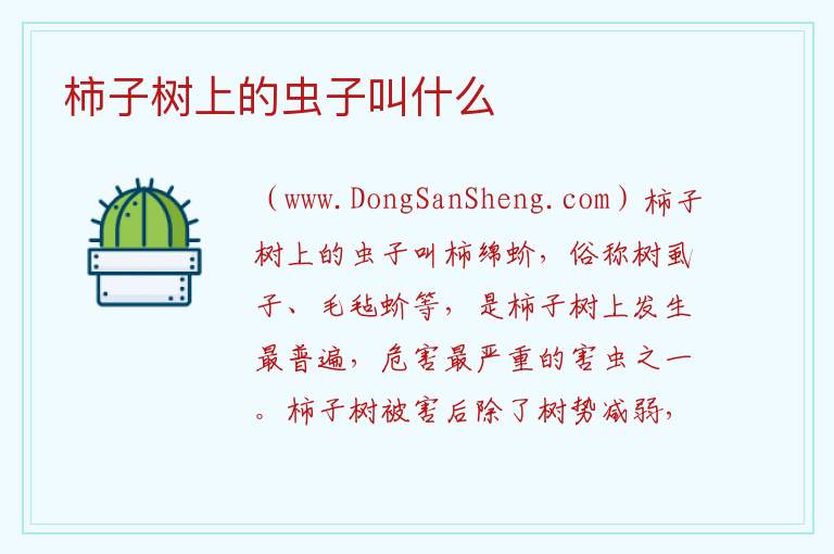柿子树上的虫子叫什么 