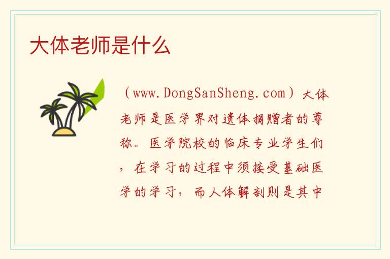 大体老师是什么 