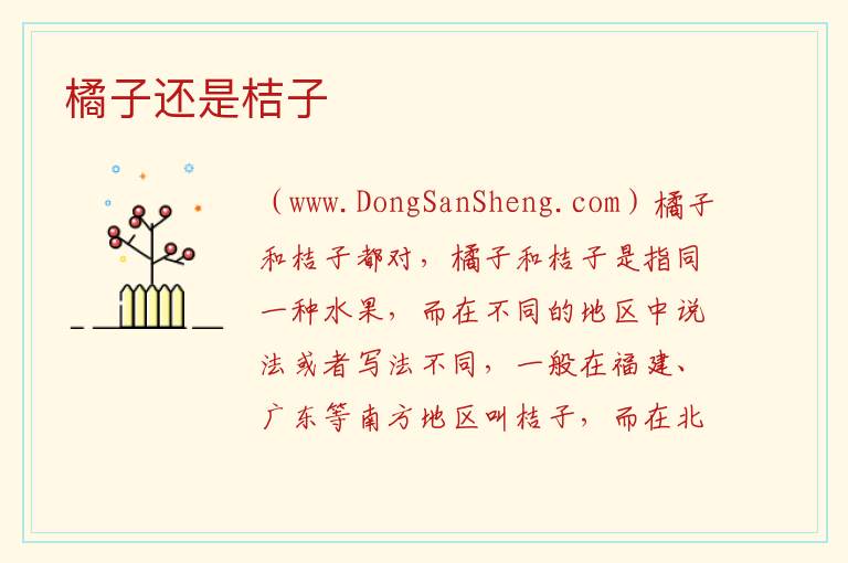 橘子还是桔子 