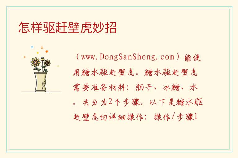 怎样驱赶壁虎妙招 