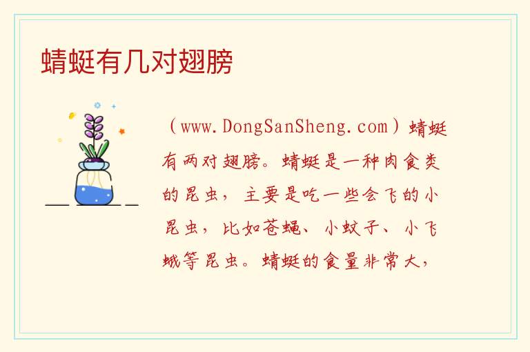 蜻蜓有几对翅膀 