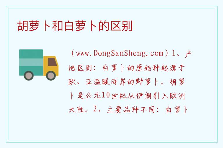 胡萝卜和白萝卜的区别 