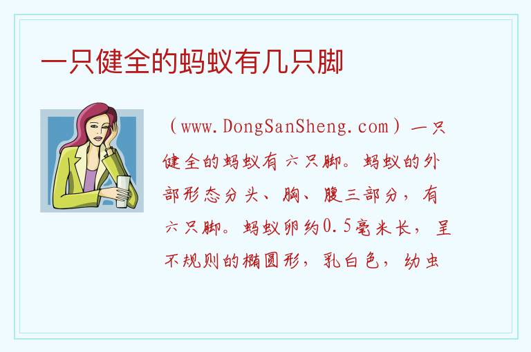 一只健全的蚂蚁有几只脚 一只蚂蚁有几条腿正确答案