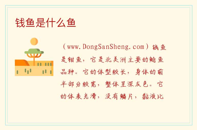钱鱼是什么鱼 