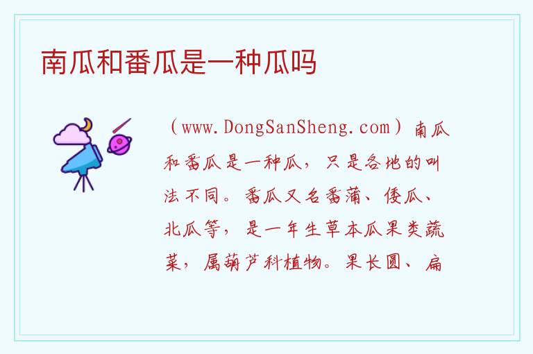 南瓜和番瓜是一种瓜吗 