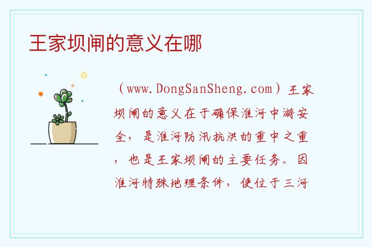 王家坝闸的意义在哪 