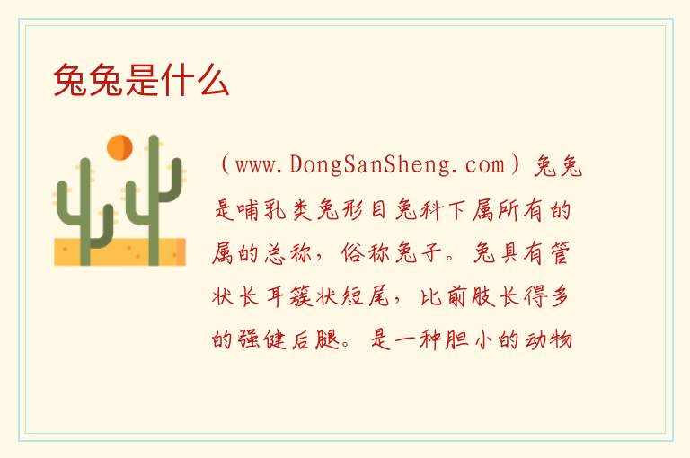 兔兔是什么 