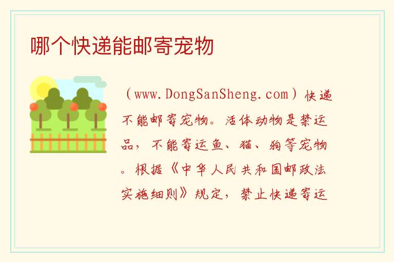 哪个快递能邮寄宠物 