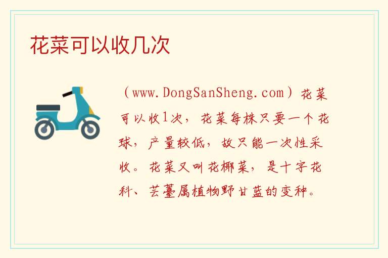 花菜可以收几次 