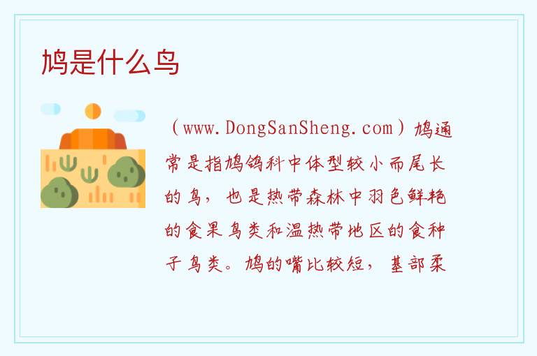鸠是什么鸟 