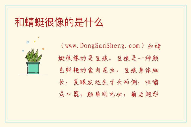 和蜻蜓很像的是什么 