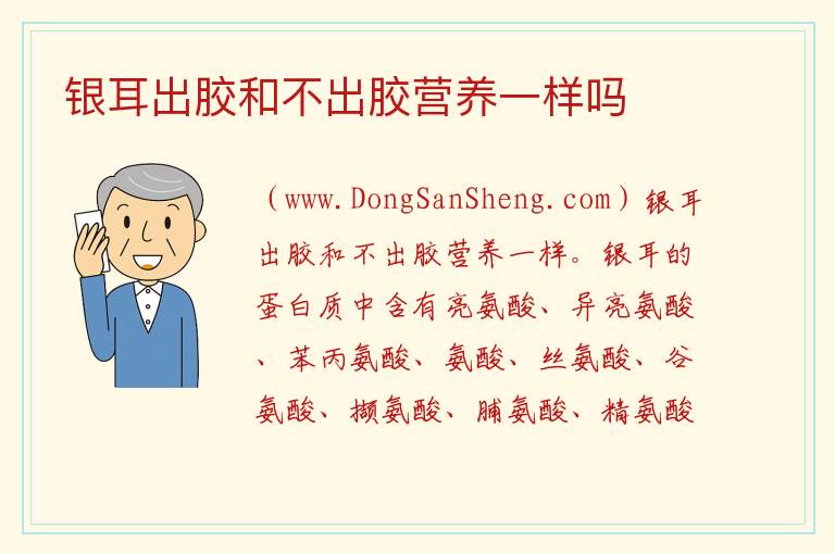 银耳出胶和不出胶营养一样吗 