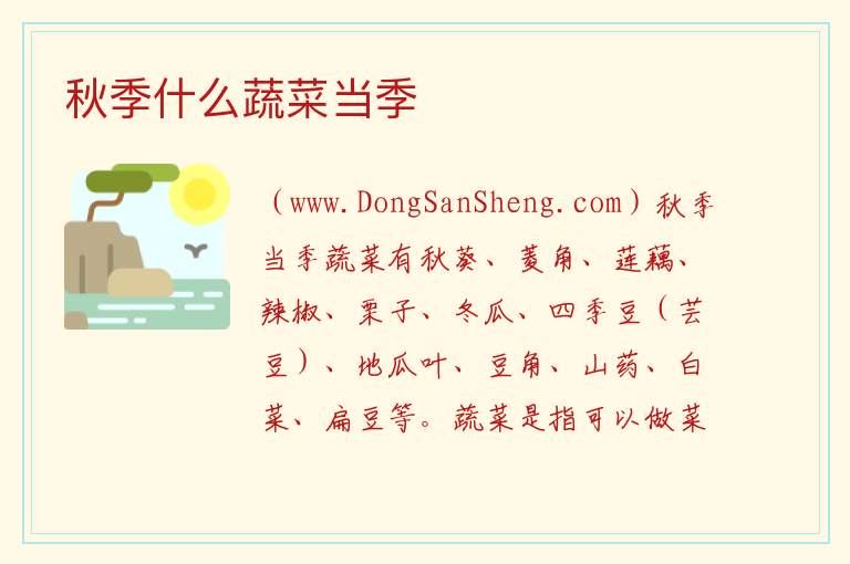 秋季什么蔬菜当季 