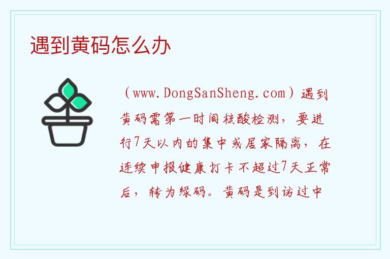 遇到黄码怎么办 