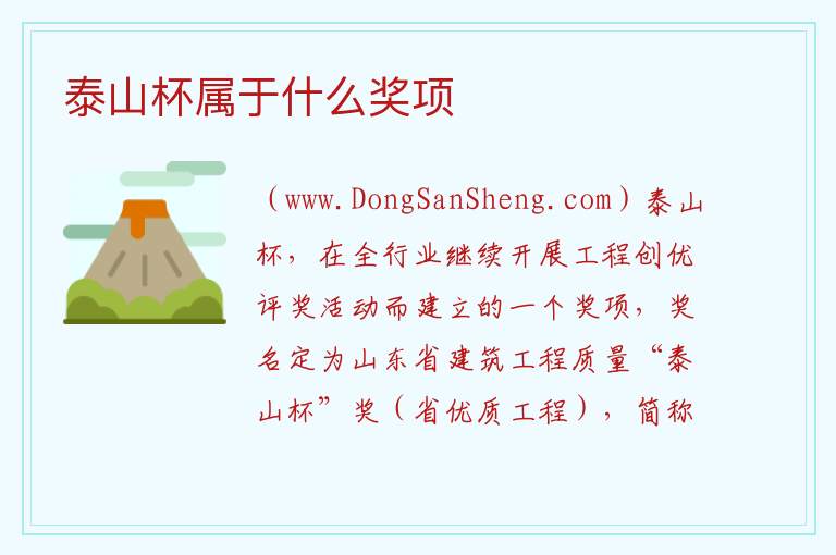 泰山杯属于什么奖项 
