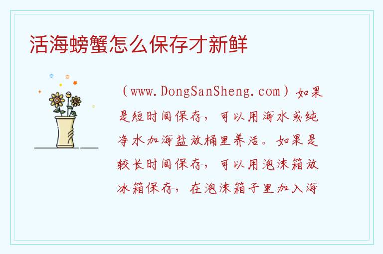 活海螃蟹怎么保存才新鲜 