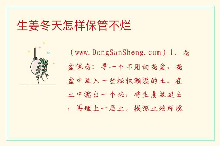 生姜冬天怎样保管不烂 