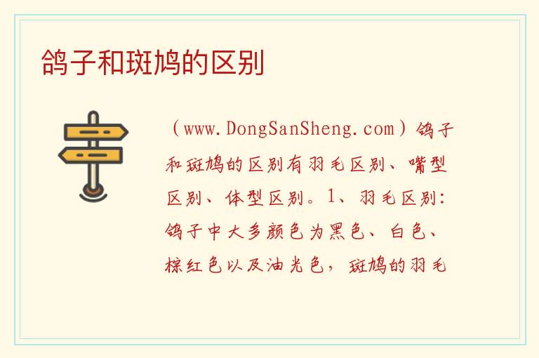 鸽子和斑鸠的区别 