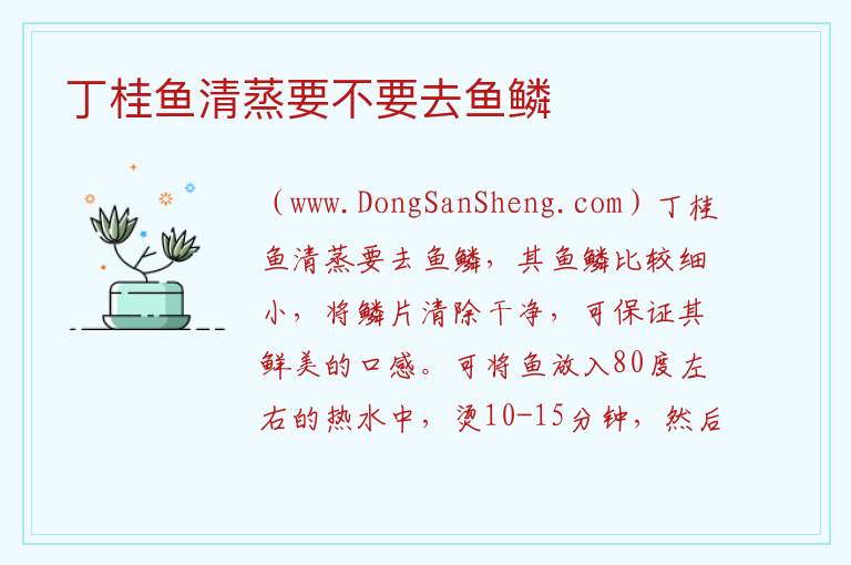 丁桂鱼清蒸要不要去鱼鳞 