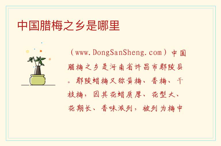 中国腊梅之乡是哪里 