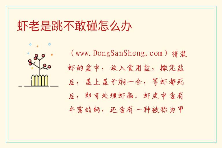 虾老是跳不敢碰怎么办 