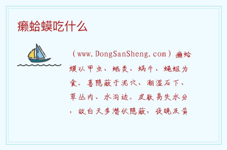 癞蛤蟆吃什么 