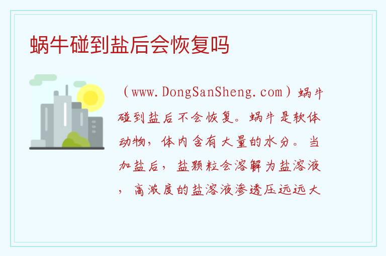 蜗牛碰到盐后会恢复吗 