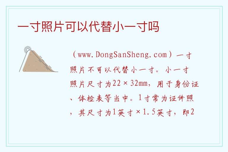 一寸照片可以代替小一寸吗 