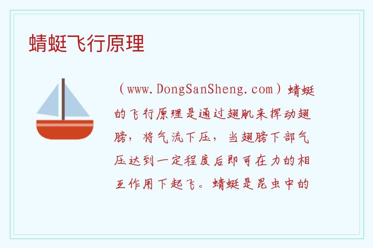 蜻蜓飞行原理 竹蜻蜓飞行原理 图文