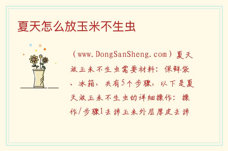 夏天怎么放玉米不生虫 