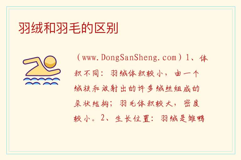 羽绒和羽毛的区别 