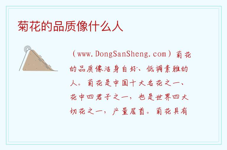菊花的品质像什么人 
