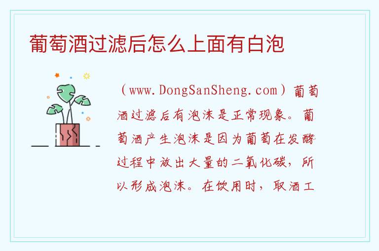 葡萄酒过滤后怎么上面有白泡 