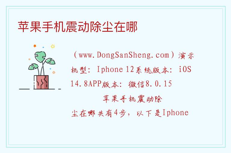 苹果手机震动除尘在哪 
